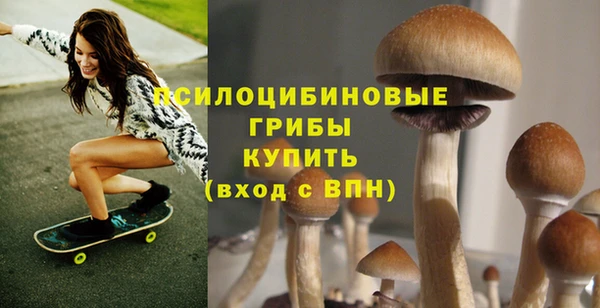 тгк Абдулино