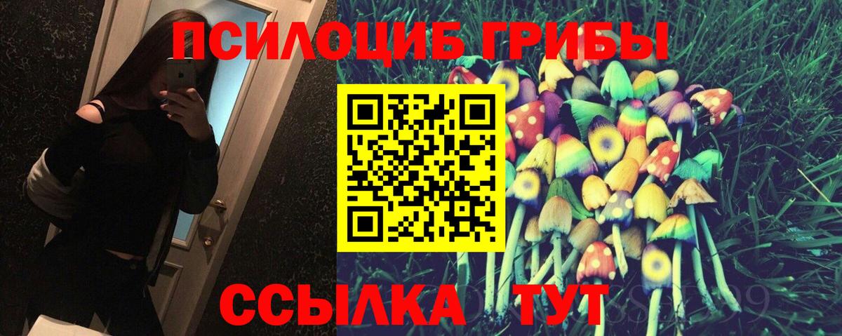 Усолье-Сибирское  Псилоцибиновые грибы Cubensis  Вход с VPN 