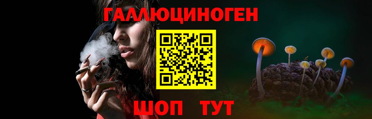 Галлюциногенные грибы GOLDEN TEACHER Усолье-Сибирское